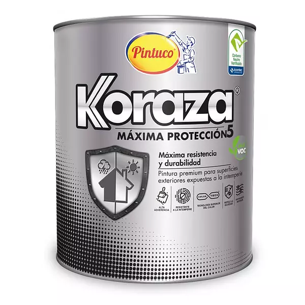 Pintura Koraza 5