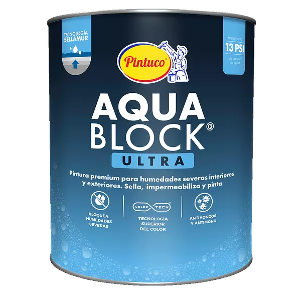 Pintura Aqua Block Ultra