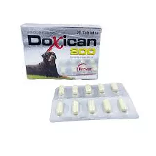 Doxican 200 / Caja De 20 Tabletas