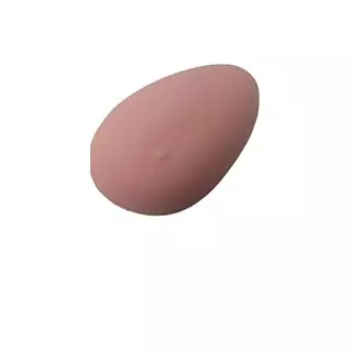 Protesis De Seno Externa Talla 36