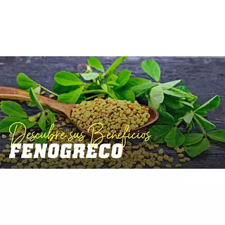 Semillas De Frenogreco