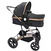 Coche Moisés Milano Maxibaby Gris