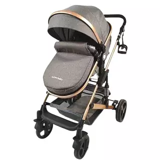 Coche Moisés Pequeño Maxibaby Gris