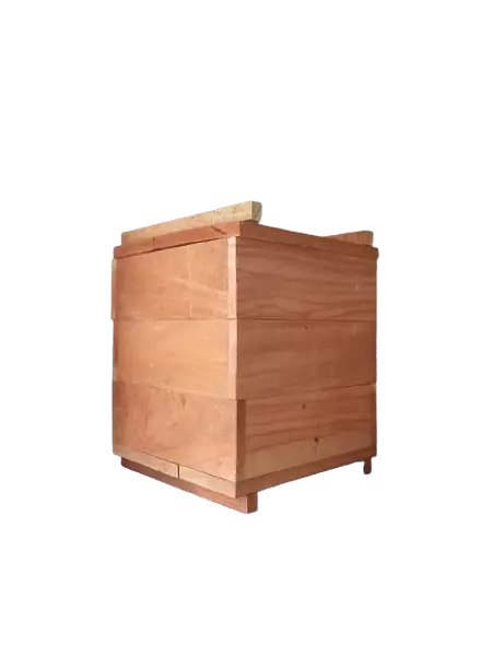 Cajón Melipona Modelo Inpa Grande
