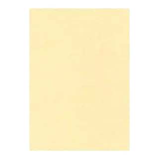 Cartulina Kimberly Srtd 90grs*20h