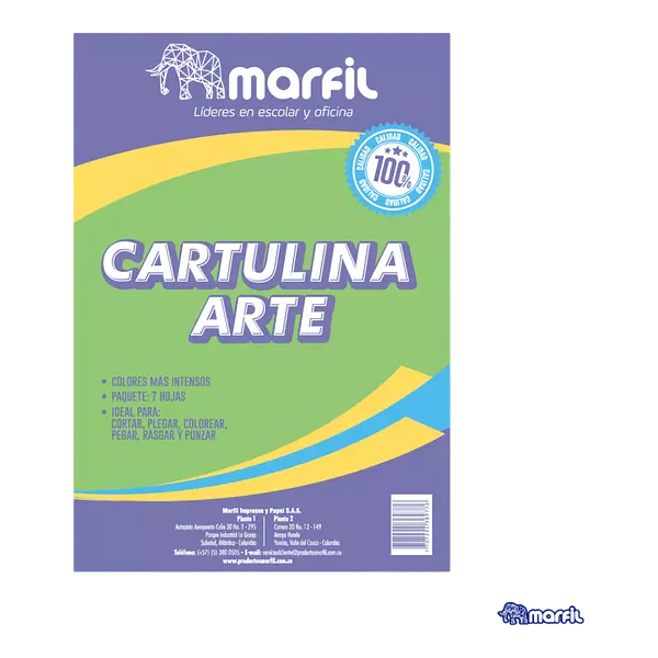 Cartulina Arte 1/8 *10unds