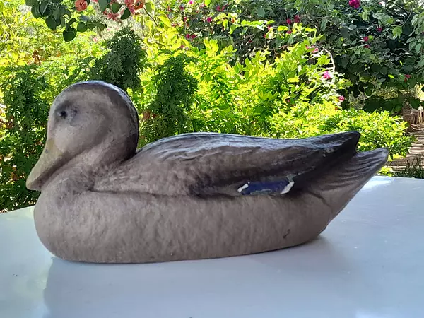 Pato Señuelo De Caza Carry-Lite 1950