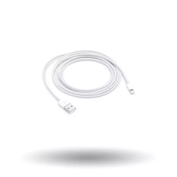 Cable Apple Usb-C A Lightning 2m