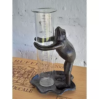Pluviómetro Sostenido Por Un Sapo