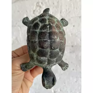 Aldaba En Forma De Tortuga