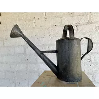 Regadera Con Asa, Manija Y Pico Rociador