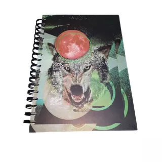 Cuaderno 7 Materias Nessan