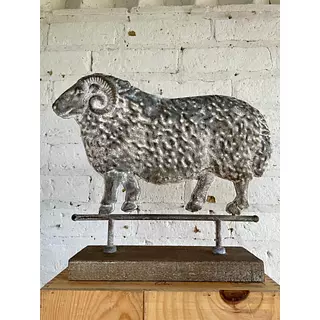 Carnero De Cuernos Rizados Sobre Base