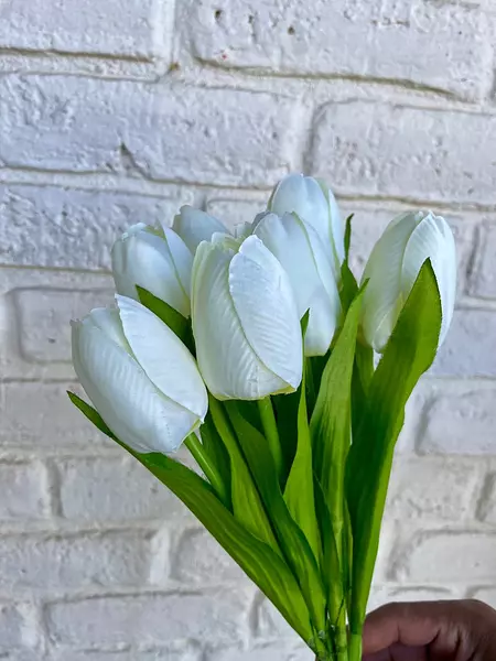 Paquete X 7 Tulipanes Artificiales Blancos