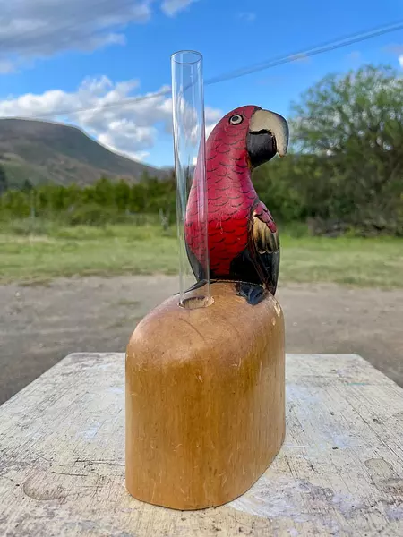 Loro Tropical Colores Tallado En Madera - Filipinas 1985