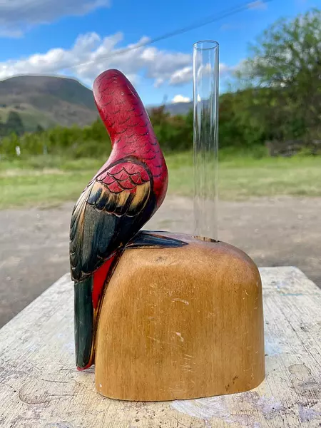 Loro Tropical Colores Tallado En Madera - Filipinas 1985