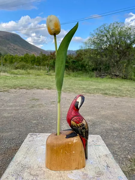 Loro Tropical Colores Tallado En Madera - Filipinas 1985