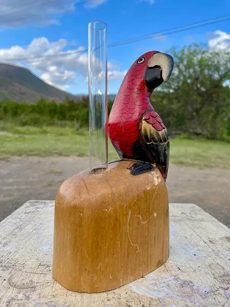 Loro Tropical Colores Tallado En Madera - Filipinas 1985