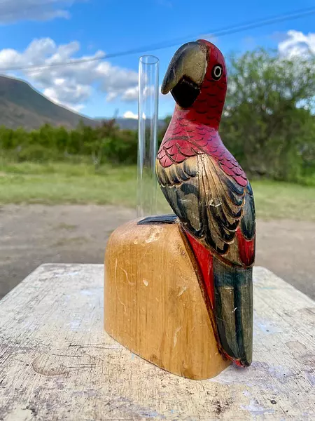 Loro Tropical Colores Tallado En Madera - Filipinas 1985