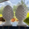 Piñas De Pino En Cerámica X 2