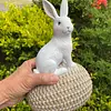 Conejo Blanco Sobre Huevo Tejido