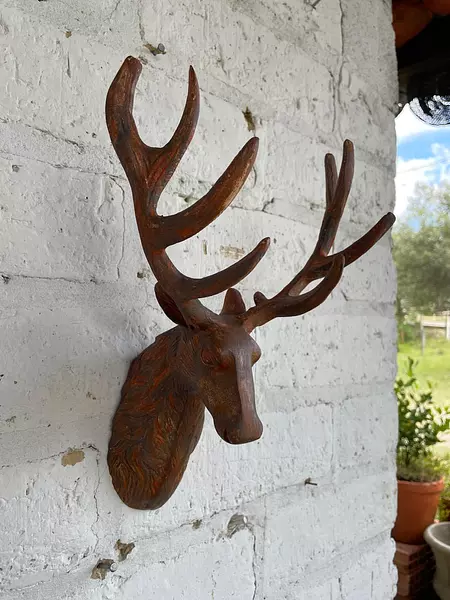 Cabeza De Venado Metálico