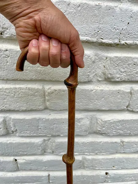 Bastón De Caña De Bambú Con Nudillos.