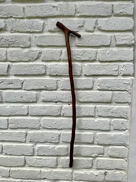 Bastón Artesanal Mango En Forma De Horqueta