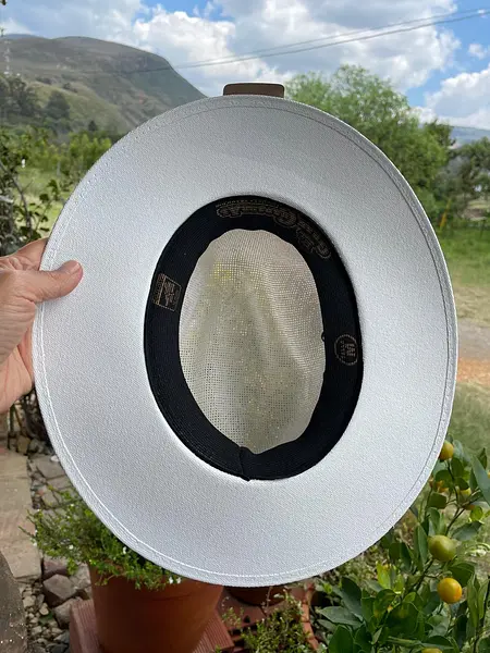 Sombrero Unisex El Gran Chaparral - México 2020