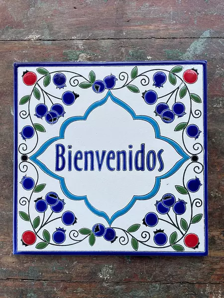 Azulejo De Bienvenida 20 X 20 Cm.