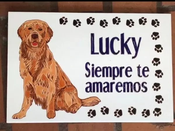 Baldosa Pintada A Mano Personalizada 20 X 30 Cm