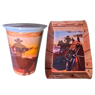 Platos Y Vasos Para Fiesta De Vaquero Del Oeste