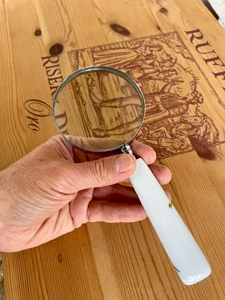 Lupa De Mano Y Mango Decorado Con Un Pájaro - U.S.A. 2005