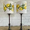 Lámparas X 2 Caperuza Limones Y Azahares Bordados