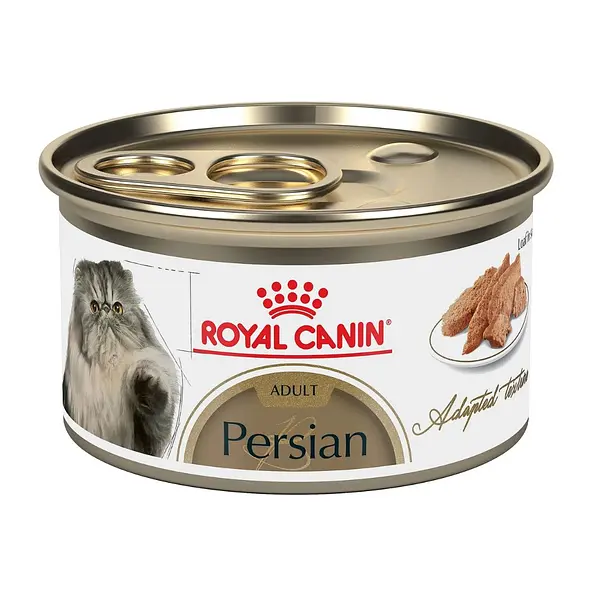 ROYAL CANIN PERSIAN LATA 