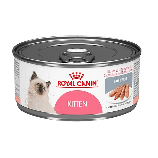 ROYAL CANIN KITTEN LOAF LATA 