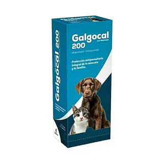 GALGOCAL 200 MG X2 TABLETAS