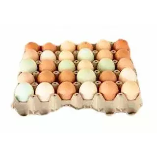 Huevo Criollo (De Campo)