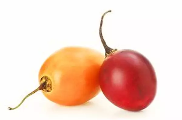 Tomate De Árbol