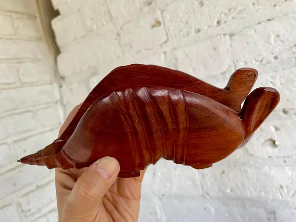 Servilletero Artesanal De Armadillo - Colombia 2020