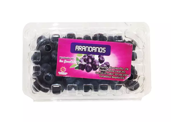 Arandanos X 125 G