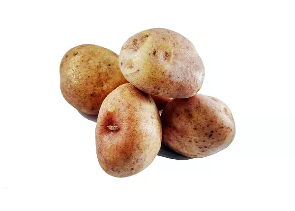 Papa Pastusa