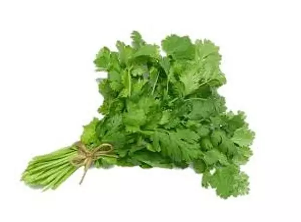 Cilantro Manojo 250 G