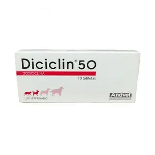 DICICLIN 50X TAB
