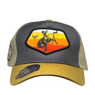 Adiestramiento Color Blanco