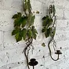 Pareja Candelabros De Pared Hojas De Parra - Italia 1970