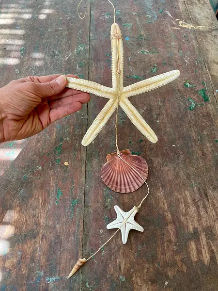 Guirnalda Marina - Filipinas