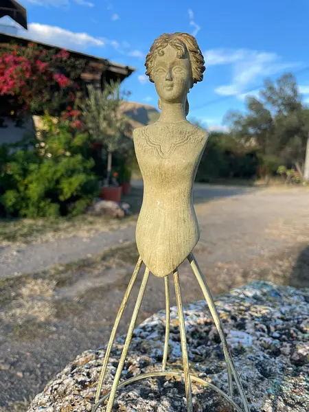 Maniquí Torso Femenino De Vestir