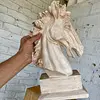 Cabeza De Caballo En Resina