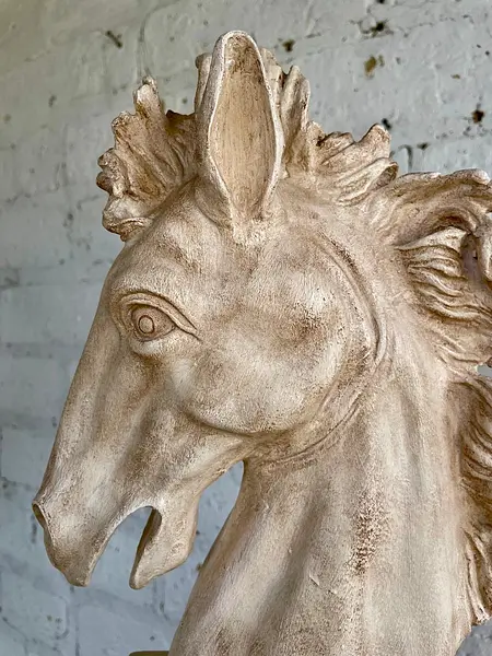 Cabeza De Caballo En Resina